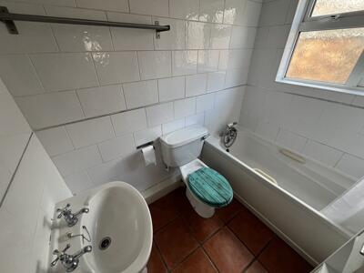 Picture 5